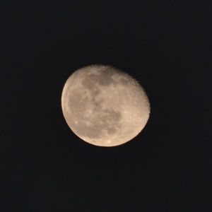 Meet your Posher, Becca